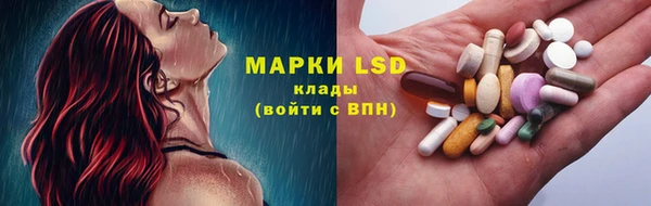 индика Волосово