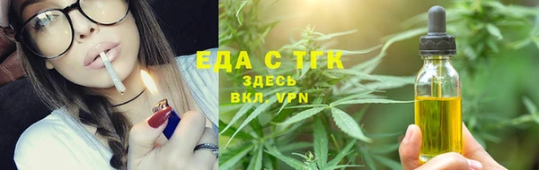 индика Волосово