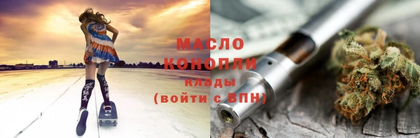 индика Волосово