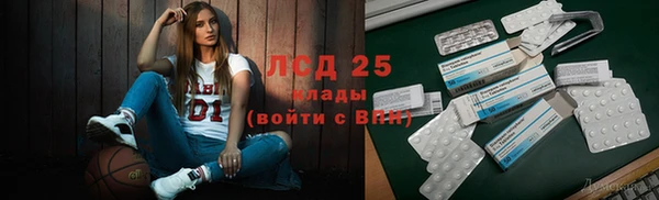 индика Волосово