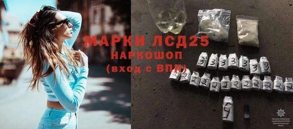 индика Волосово