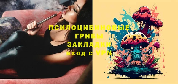 индика Волосово