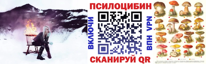 цена   Домодедово  Галлюциногенные грибы Psilocybine cubensis 